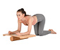 Body Coach Balance-Board