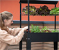 Kräuterfabrik »Urban Expert«, schwarz