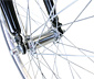 HAWK-Bikes-Cityrad »Citytrek Gent Premium«