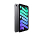 Apple iPad mini 2021 8,3" 256 GB, space-grau