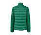 Steppjacke, grün