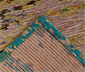 Kurzflorteppich »Primavera 625«, multi, ca. 80 x 150 cm