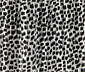 Kleid mit Print