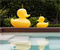 The DUCK-DUCK lamp™ XL