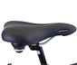 HAWK-Bikes-Herren-Trekkingrad »Trekking Gent Premium«