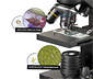 NATIONAL GEOGRAPHIC 40x-1280x Mikroskop inkl. Smartphone Halterung