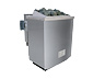 Karibu Saunahaus-Set »Rahlau A«, inkl. 9 kW-Bio-Ofen mit externer Steuerung
