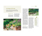Buch »Der neue grosse Gartenplaner«