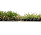 Primaflor Kunstrasen »Francis«, 3 x 2 m