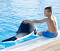 Pool Buddy Wal