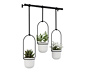 Umbra-Vase »Triflora«, 3er-Set