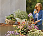 GARDENA Pflanzschale »ClickUp!«