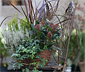 Herbst-Set 4, inkl. Korb, Pflanzen und Erde