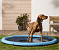Hunde-Wasserspielmatte