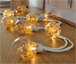 LED-Lichterkette mit Trockenblumen