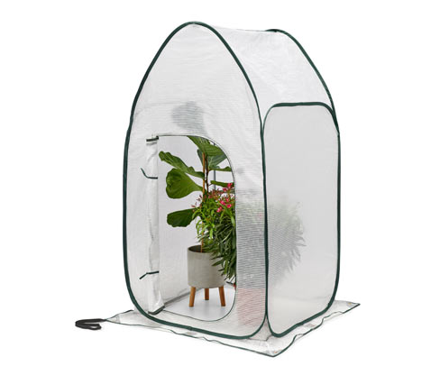 Tchibo - Hohes Pop-up-Pflanzenschutz-Zelt - 100x100x190cm - dunkelgrün - Polyethylen / Fiberglas / Polyester