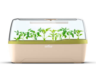 Smart-Indoorgarten-Set