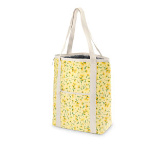 Kühltasche