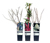 Naturschutzhecken-Set, 3er