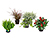 Herbststauden-Set »Bunter Herbst«