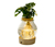 Wasserpflanze im Glas mit LED »Monstera«