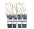 Blaubeeren, 4er-Set
