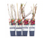 Himbeeren, 4er-Set