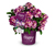 Rhododendron Hybride »Happy Dendron« Pushy Purple
