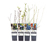 Wellnessobst, 4er-Set