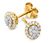 375 Gold Ohrstecker mit Diamanten