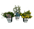 Bienengarten, 3er-Set