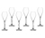 Spiegelau Sparkling Party, 230 ml, 6er-Set