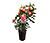 Rose »Firebird«