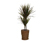 Zimmerpflanze »Dracaena Bicolor« mit Topf