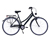 HAWK Bikes Cityrad »Citytrek Lady Premium«