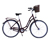 HAWK Bikes Cityrad »City Classic Joy Bordeaux«