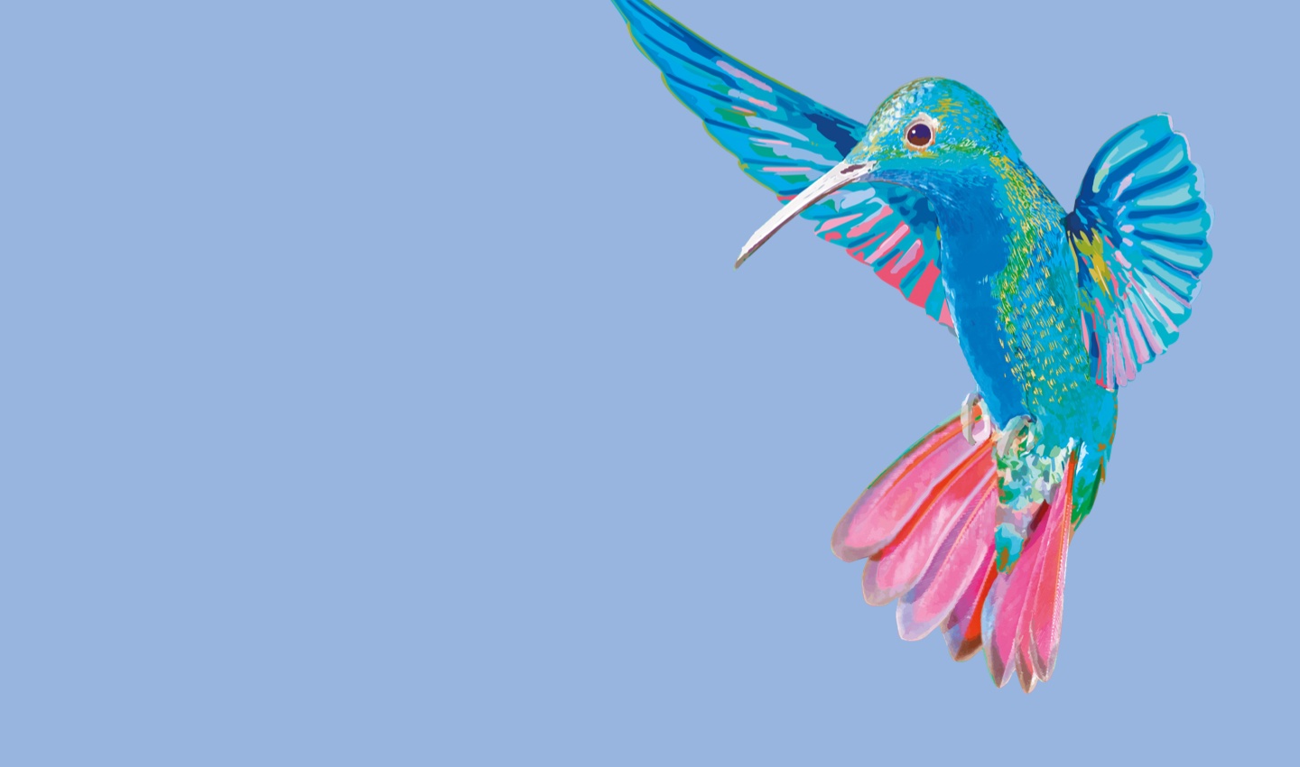 Kolibri, der auf der Verpackung des Cafissimo Grand Classé zu sehen ist