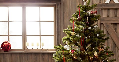 So kommt der Weihnachtsbaum in Form