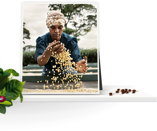 Fairtrade