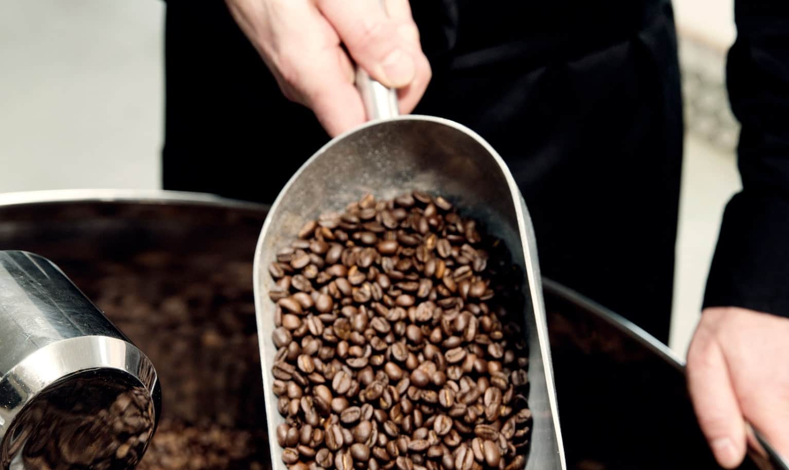 Blick in die Röstertrommel gefüllt mit Kaffeebohnen