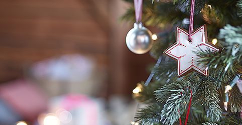 Weihnachtsbaum frisch halten