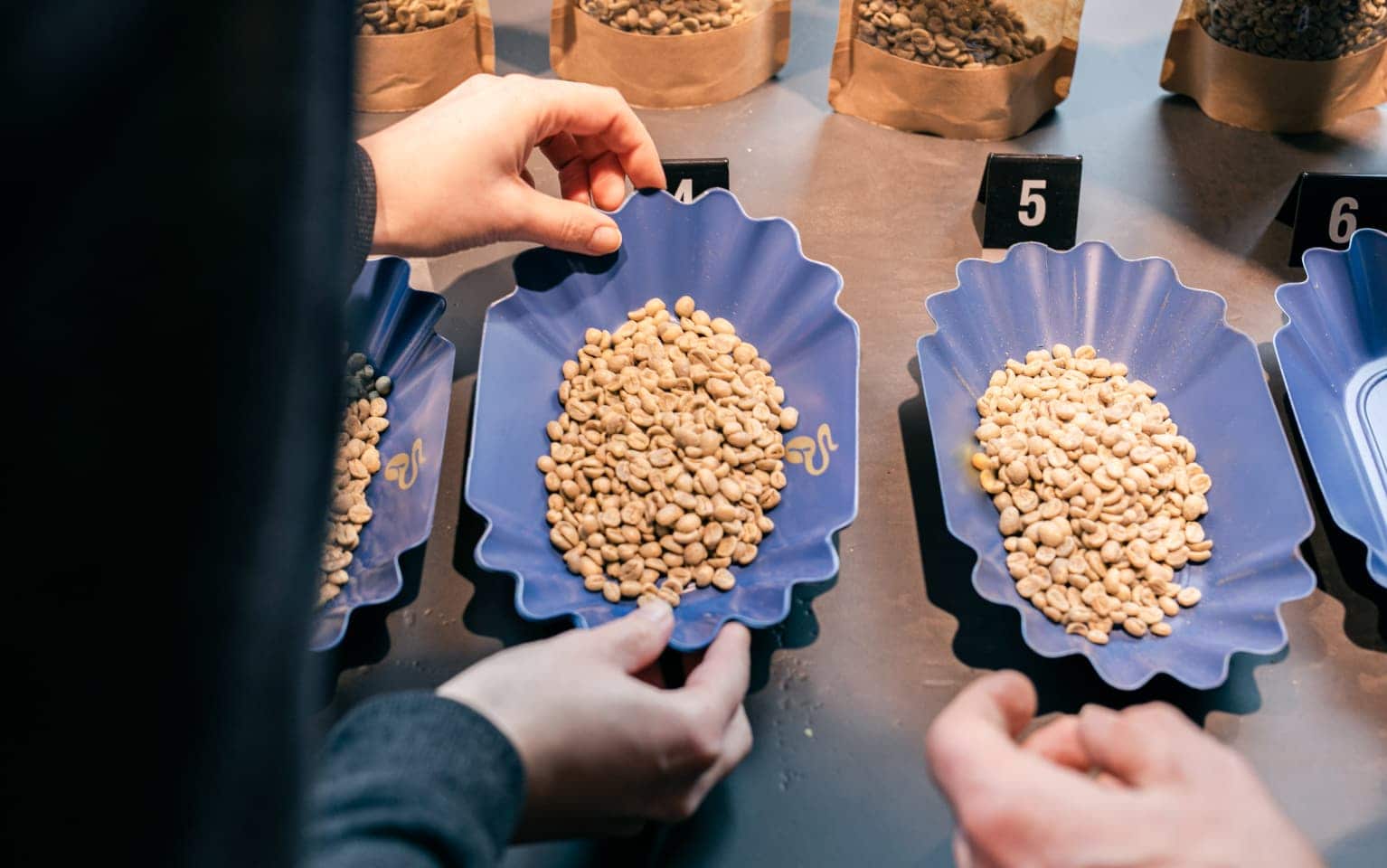 verschiedene Rohkaffeesorten in Schüsseln stehen auf einem Tisch