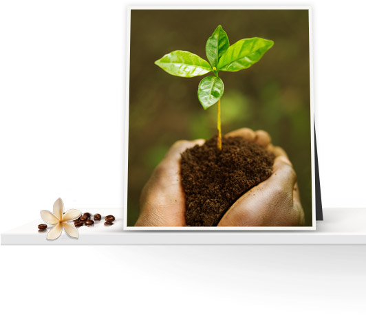 Fairtrade