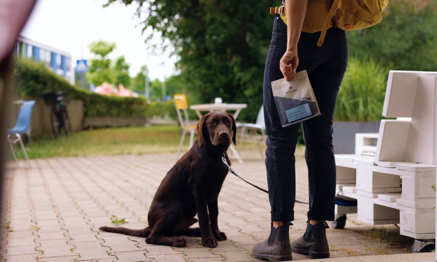 Eine Person hält eine Packung Heilandt Kaffee in der Hand und steht neben einem braunen Hund
