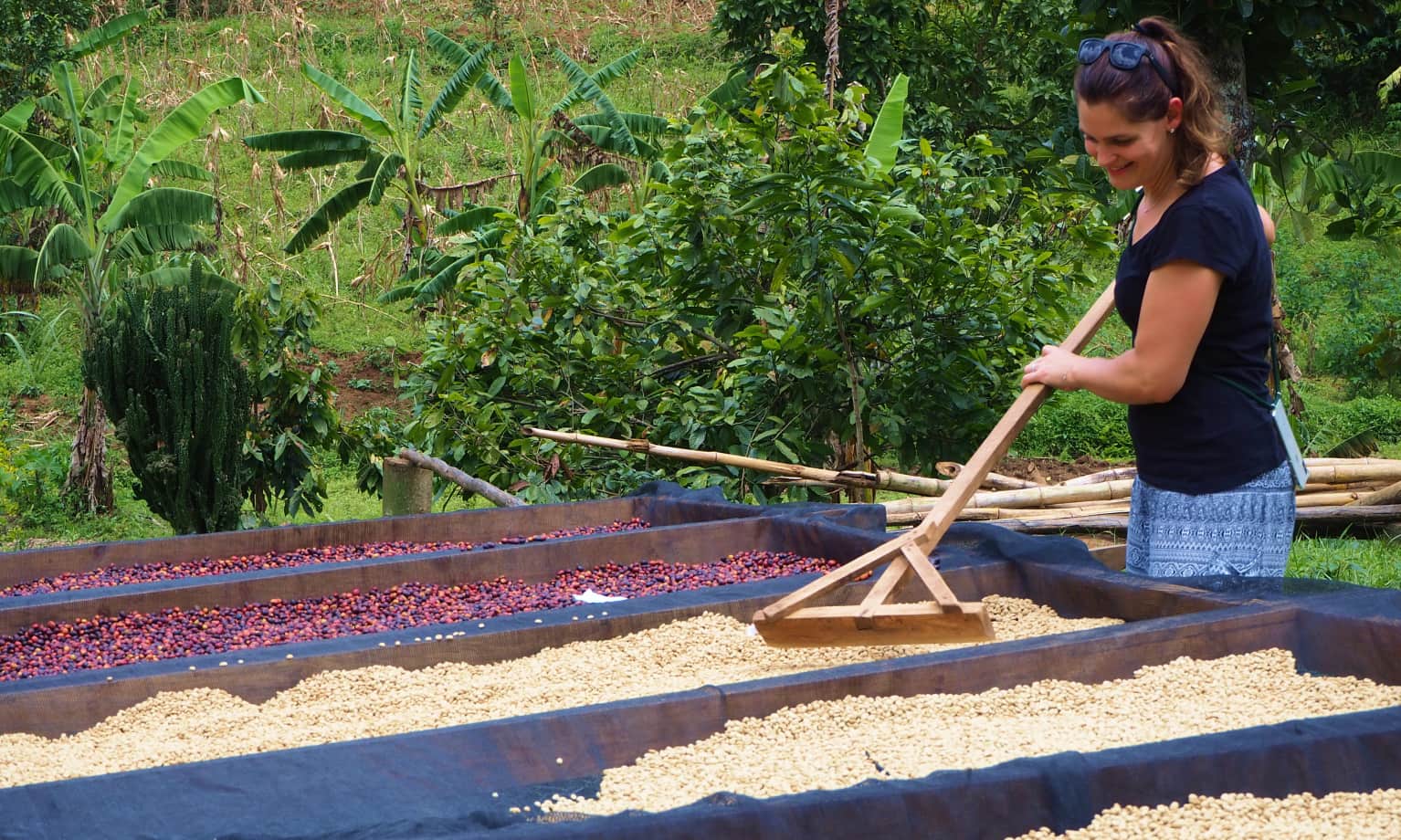 Die Gründerin Nadine verteilt mit einem Rechen Rohkaffee auf einem Trockenbett