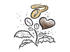 Ilustration einer Tchibo Kaffeepflanze