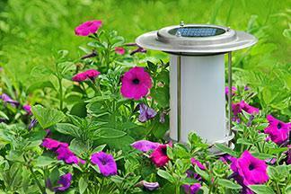 Eine solarbetriebene Gartenleuchte steht in den Blumen.
