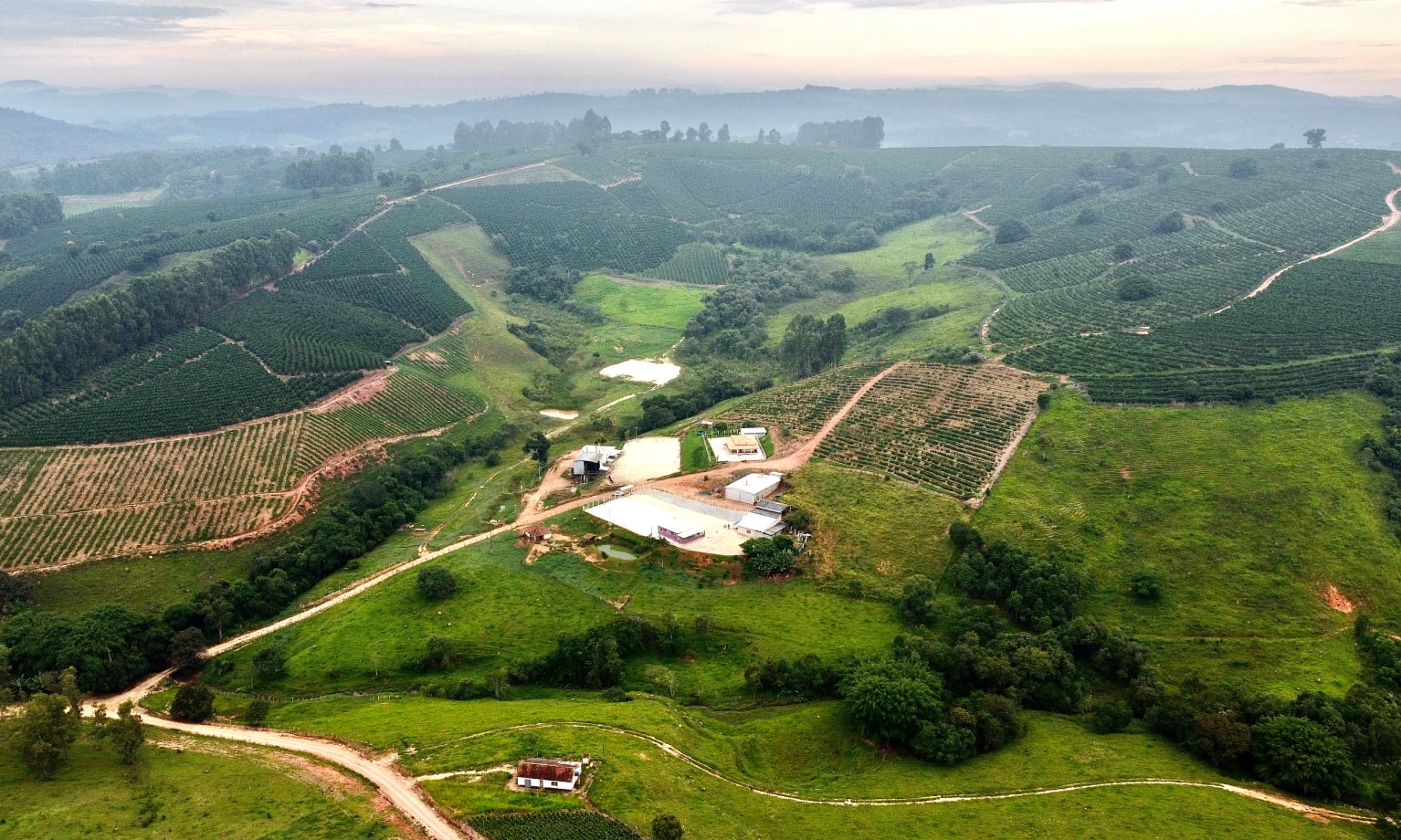 Eine Luftaufnahme einer grünen Landschaft