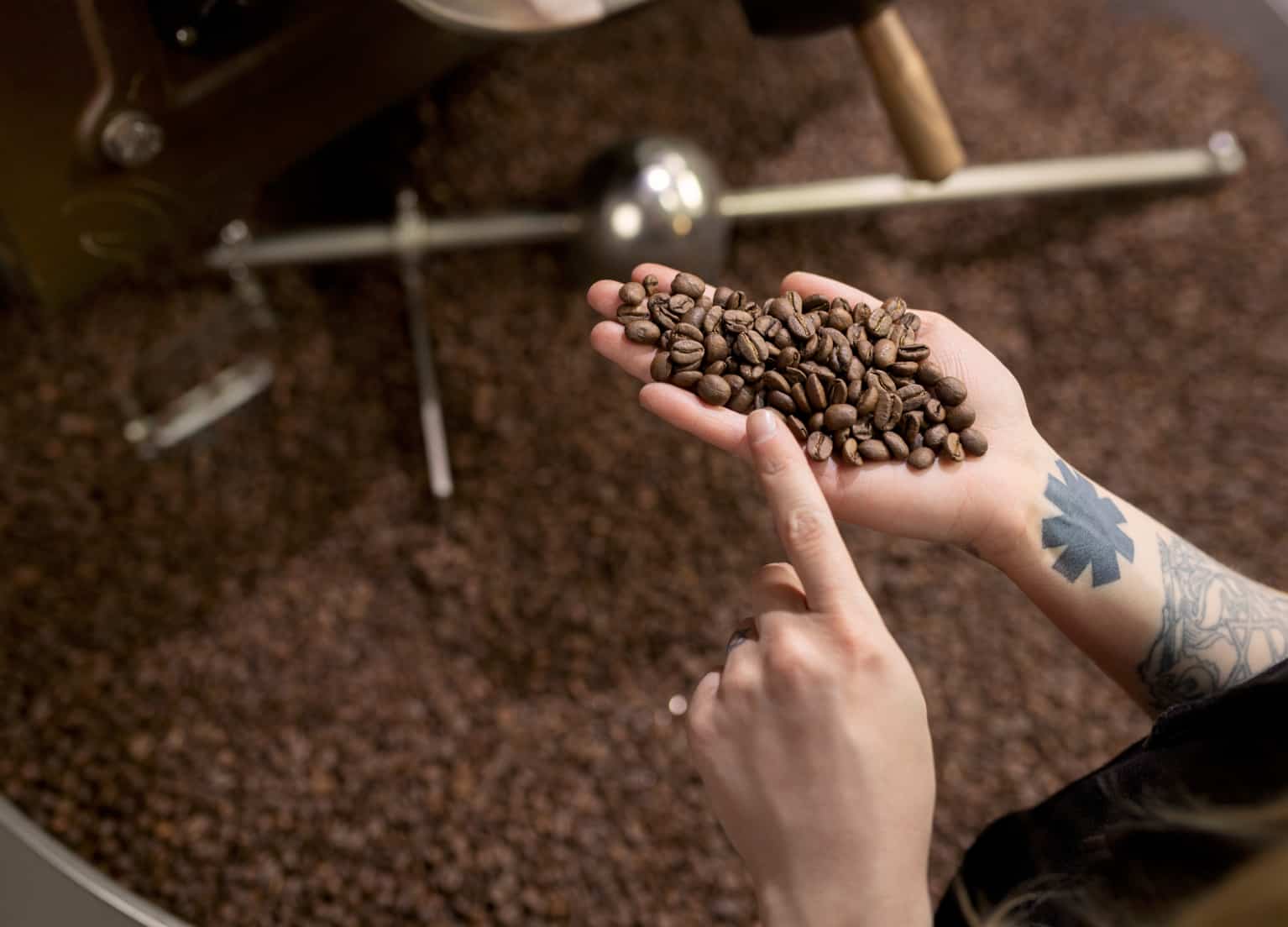 Frisch geröstete Kaffeebohnen werden in der Hand gehalten.