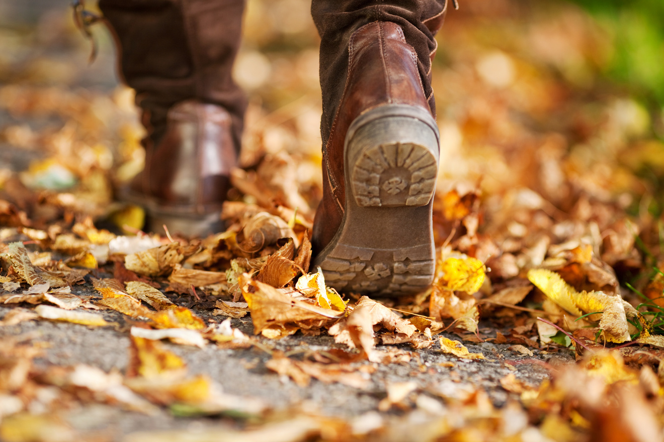 Nahaufnahme von Wanderstiefeln auf einem herbstlichen Waldweg, der mit buntem Laub bedeckt ist.